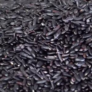 [해남미소] 오색향미 영농조합 찰흑미 600g