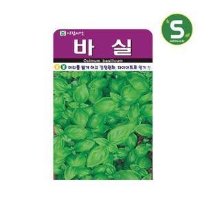 바실씨앗 50립 바질 바실 허브씨앗