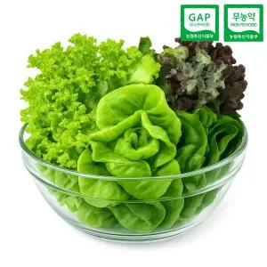 GAP 무농약 유러피안 샐러드 상추 유럽상추 1kg(3-5종)