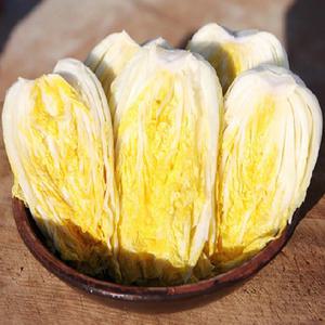 [예약] 해남 절임배추 20kg 20키로 김장 절인배추 포기 김치