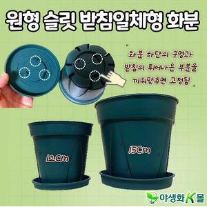 일체형 슬릿화분 슬릿분 가벼운 플라스틱 화분 모종포트