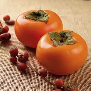 부유 단감 태추 단감 창원 진영