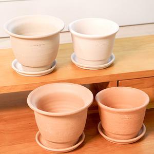 갑조네 앙비까사 베트남 힐스 토분