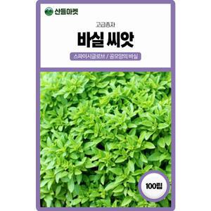 산들마켓 바실 허브 씨앗 100립 스파이시글로브 약간의 소나무 향이 나는 일년생 바질씨 종자