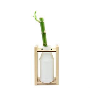 생태환경교육 업사이클링체험 마시는요거트병활용 나무화분만들기 10개