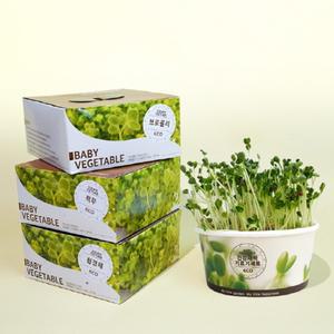 건강새싹 기르기세트-브로콜리