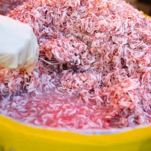 MSG무첨가 100%국내산 강경 추젓 새우젓 1kg 2kg