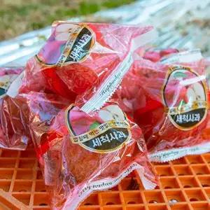 T_[오늘아침사과] 오늘아침 세척사과 3kg 15과