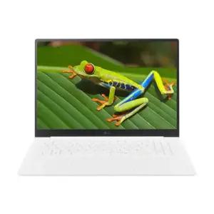 LG전자 LG그램 프로 16Z90TP-GA5HK SSD 1TB 교체