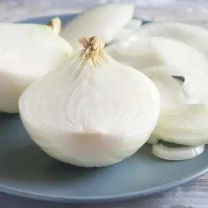 국내산 양파 개당100-150g내외 중형 10kg