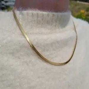 [노블른][노블른] 써지컬스틸 골드 도금 뱀줄 체인 목걸이 (8695461)