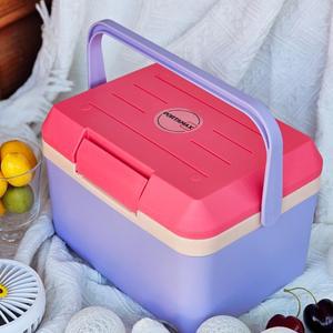 귀여운 미니 소형 아이스박스 휴대용 차량용 피크닉 쿨러 캠핑용 5리터