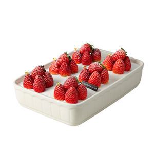 [투썸플레이스] 파티팩 화이트 스초생