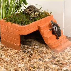 거북이 쉼터 놀이터 은신처 등반 테라스 일광욕 장식