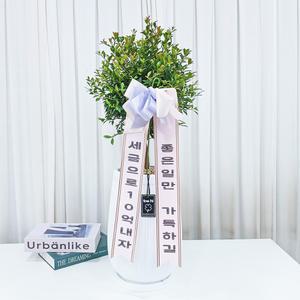 개업화분 동글동글 피어리스 고급 정원수나무 대형 70cm이상 - 개업 승진 집들이화분