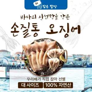 [해담은밥상] 손질통오징어 130g × 18미 (1팩/2미)