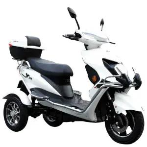 세발 전동 스쿠터 성인 라이딩 출퇴근 마실용 운반차