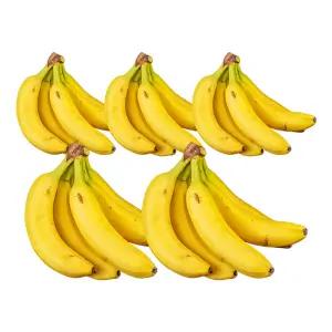 이맛난 고랭지 바나나 5손 6kg내외