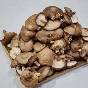 못난이 생표고버섯 1kg