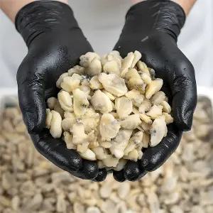 냉동 자숙 바지락살 2kg 해감 깐바지락 세척 손질 조갯살 조개살