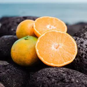 [아침이슬농원]제철 제주 타이벡 귤 4.5kg 중대과(L-2L)