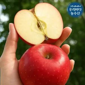 주스용 사과 10kg 흠집 파지 보조개 사과 낙과 멍든 쥬스용 못난이 부사 5kg 3kg