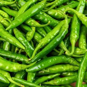 품질보장 프레시 국내산 매운 청양고추 특 1kg