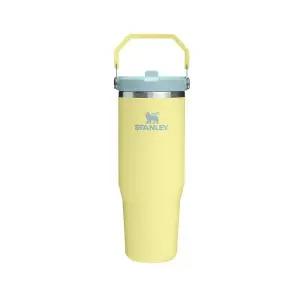 스탠리 STANLEY 아이스플로우 플립 스트로 2.0 텀블러 887ml 포멜로 197020
