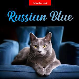 러시안 블루 2026 달력: 에메랄드 눈과 은빛 은혜