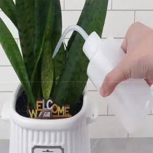 하우조이 다육식물 물뿌리개 다육이물뿌리개