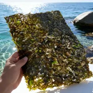 완도 신안 바삭한 명품 곱창김 우리바다 맛곱창 100매