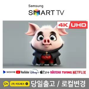 [삼성] 65인치 4K 스마트 UHD TV 65DU6900 스마트 OTT 기능 탑재
