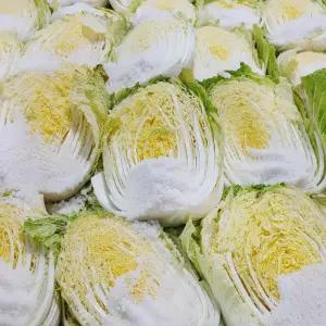 절임배추 강원도 평창 고랭지 배추10kg 20kg