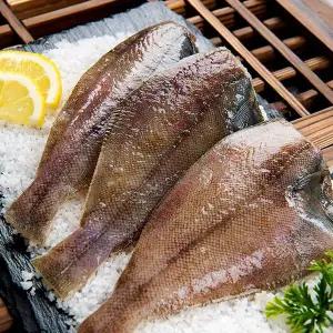 [대호] 국내산 손질 특대 가자미 250g x 12팩 (팩당 2마리) / 총 24마리