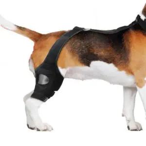 [셀러에이드]강아지 슬개골 탈구 관절 다리 보호대 애견 무릎 깁스