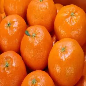 당일수확 당도선별 제주 고당도 제철 레드향 3kg