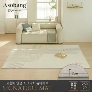 2P 시그니처 유아 놀이방매트 플로우  250 (250x150x2cm)