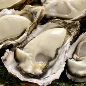 통영 생굴 1kg/2kg 중굴 깐 굴 굴제철 석화 각굴 굴튀김