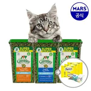 필라인 그리니즈 대용량팩 595g (맛택1)+캣닢쿠션+템테이션12gx3개