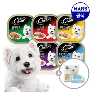 [24+24] 시저 주식캔 100gx48개 골라담기+배변패드+베베숲물티슈1팩