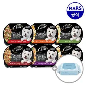 시저 심플리 크래프티드 15개골라담기+배변패드+베베숲물티슈1팩