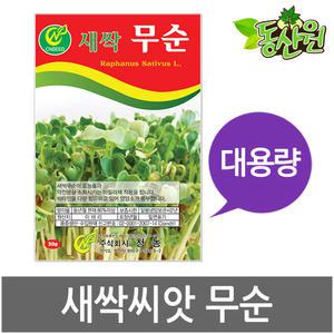 대용량 새싹무순씨앗 500g 1kg 새싹씨앗 무순싹