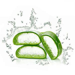 마타바 알로에베라겔 500ml 알로에 모이스트