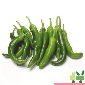 오이고추 5Kg (상)