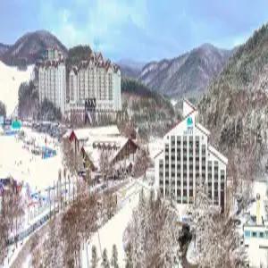 [강원] 드래곤밸리 호텔(강원호텔/평창호텔/평창드래곤밸리 호텔)