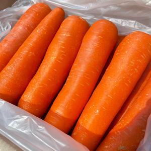 깨끗한 세척당근 5kg 10kg 주스용 김밥재료 1box