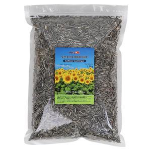 PetsOK 알찬 중소형 해바라기씨 1.2kg 앵무새 햄스터 다람쥐 소동물용