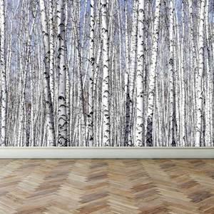 [마이월플레이즈]리모델링벽지 포인트벽지인테리어 자작나무 숲