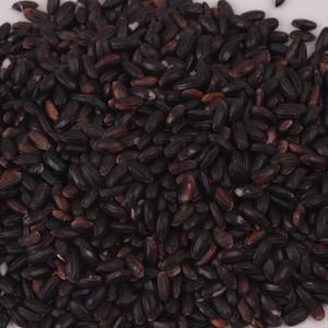 찰흑미1kg 25년산 진도산 햇흑향미