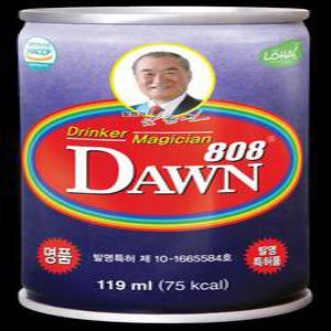 여명808 119ml 15캔